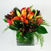 Autumn Container display